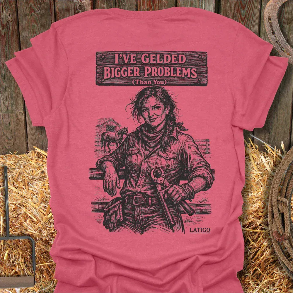 Printify T-Shirt Heather Red / S Gelded Problems Tee