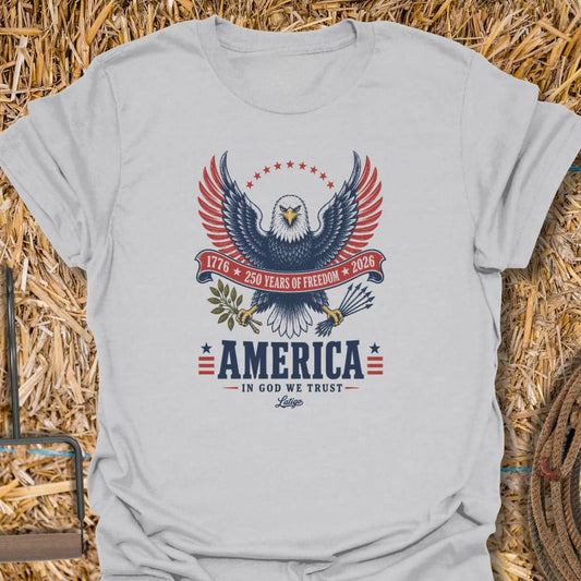 Printify T-Shirt Ice Grey / S American 250 Tee