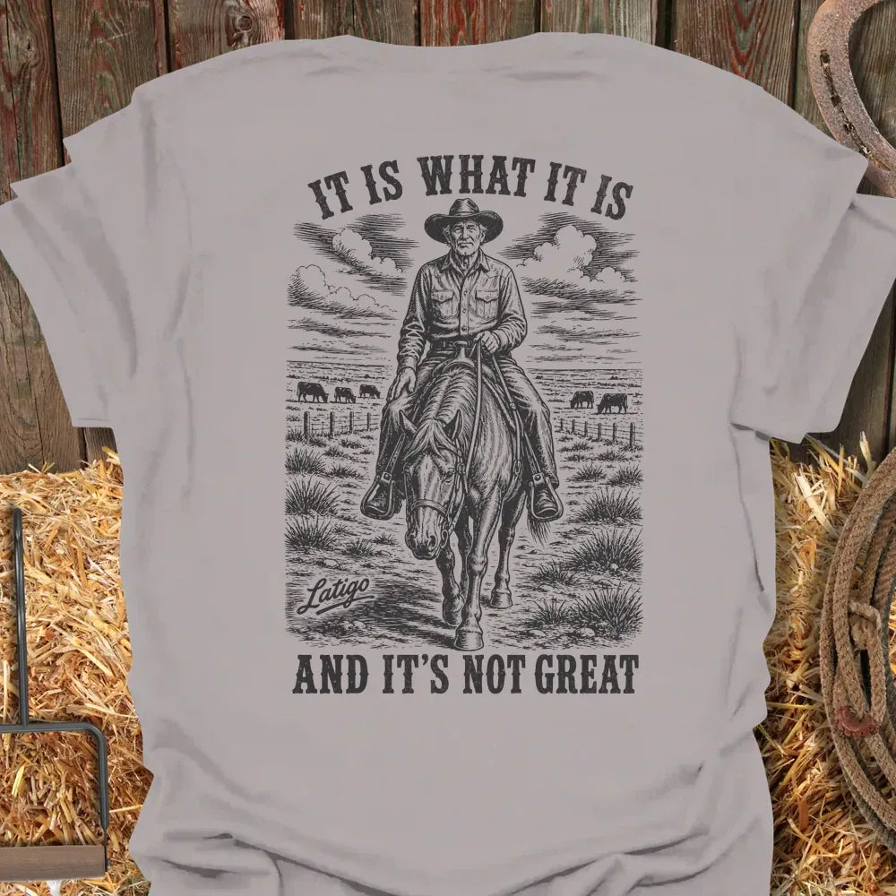 Printify T-Shirt Ice Grey / S Is What It Is Tee