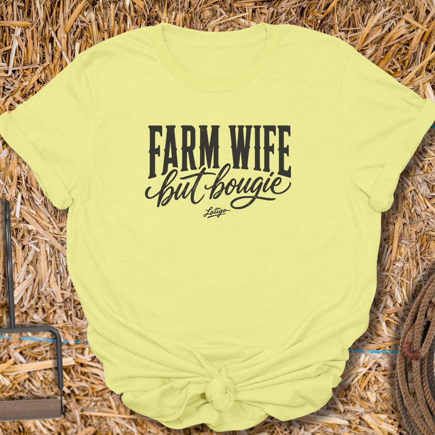 [latigo]cornsilk|front|Cornsilk
