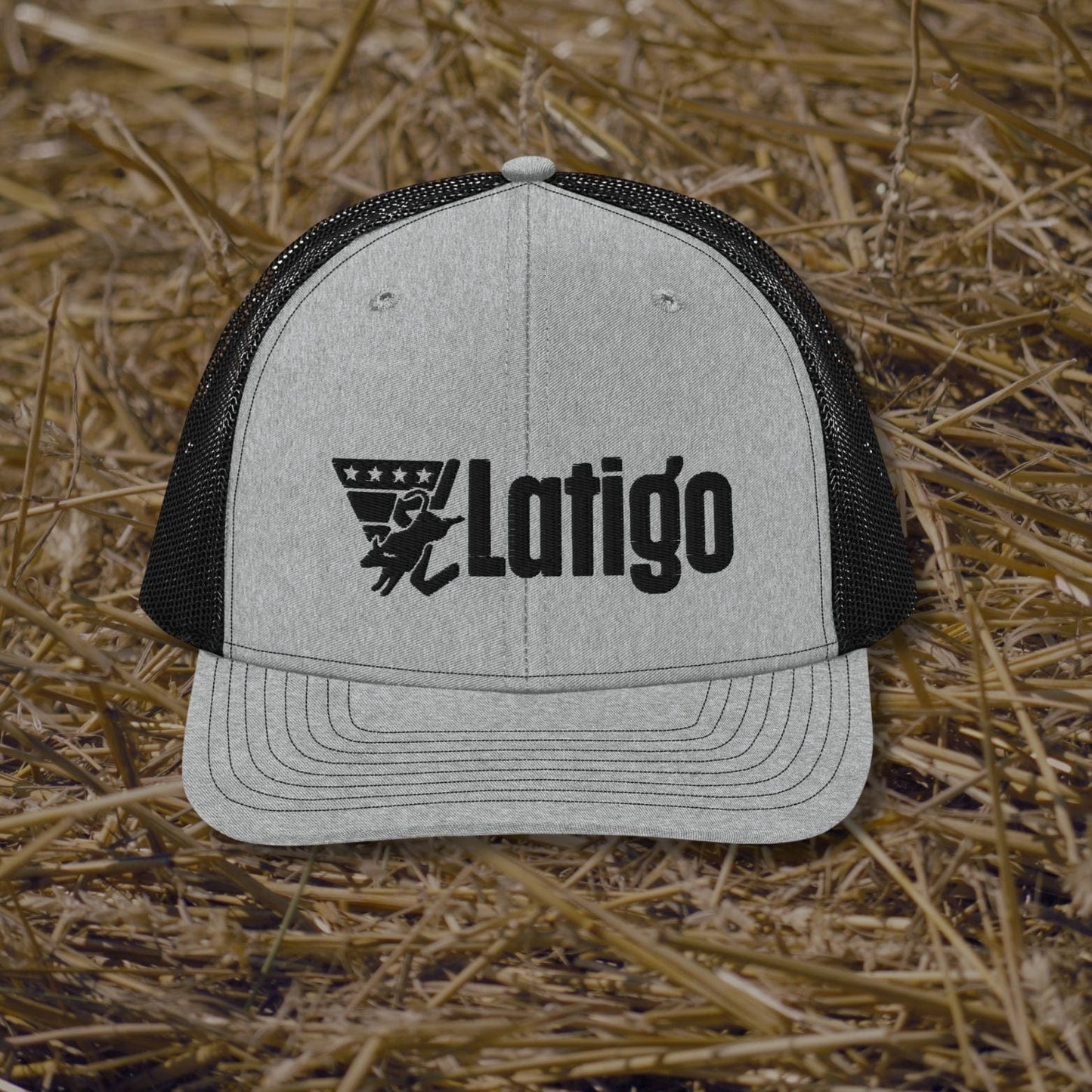 Latigo-Cowboy Authentics Gray Goose