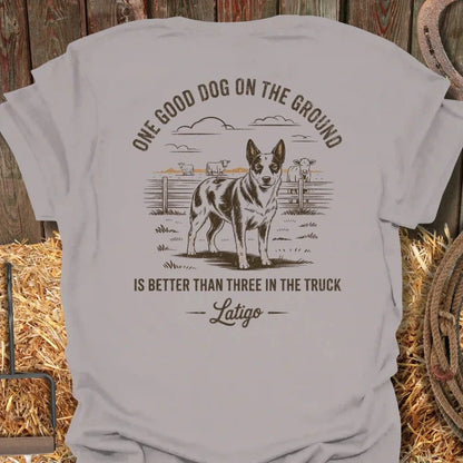 Latigo-Cowboy Authentics Ice Grey / S Rusty