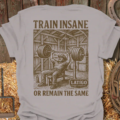 Latigo-Cowboy Authentics Ice Grey / S Training Tee