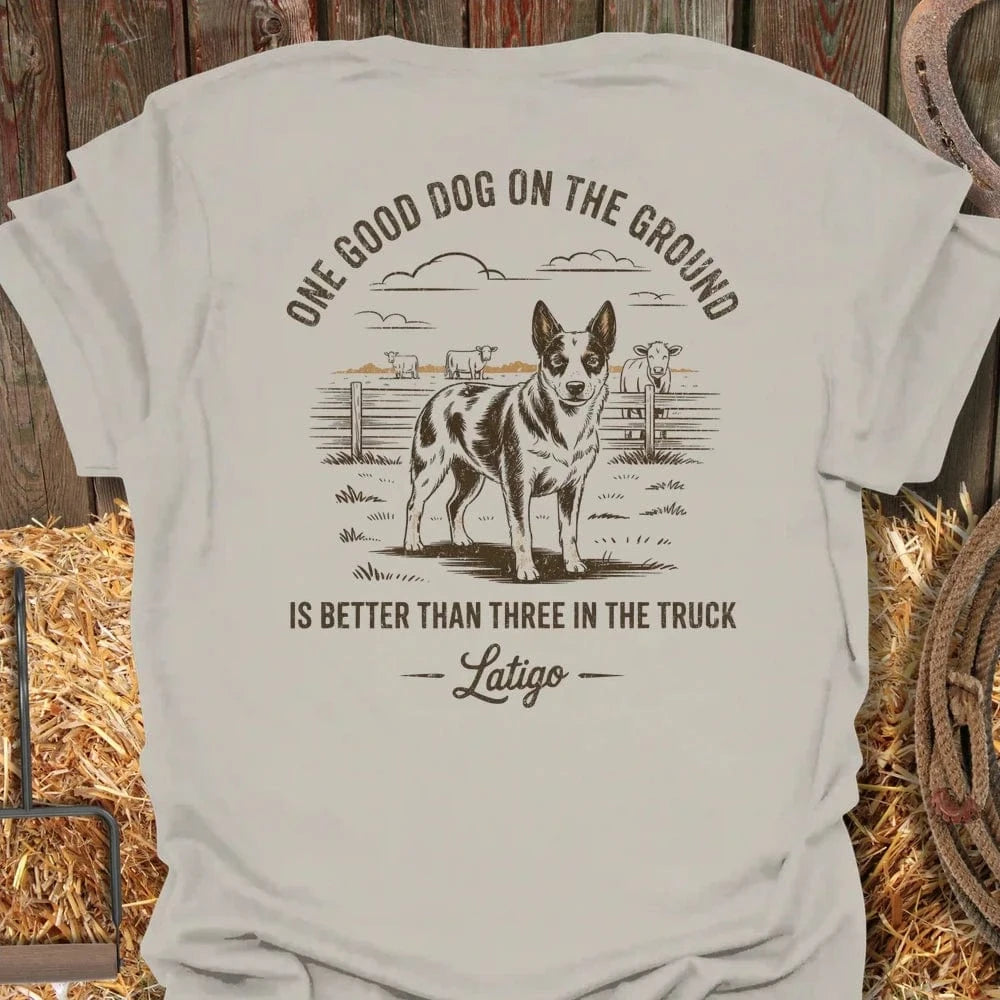 Latigo-Cowboy Authentics Natural / S Rusty