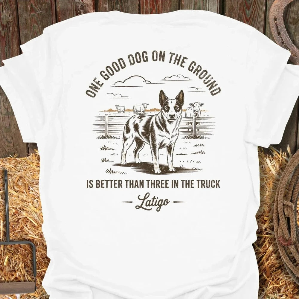 Latigo-Cowboy Authentics White / S Rusty