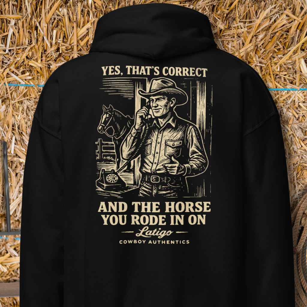 Printify Hoodie Black / S Correct Dark Hoodie