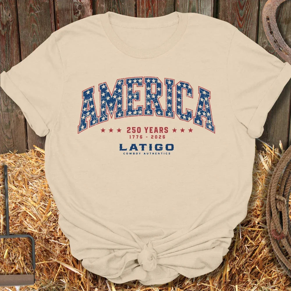 Printify T-Shirt America Tee