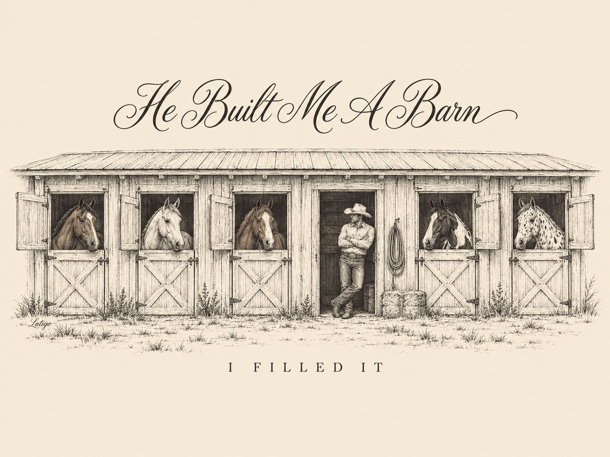 Printify T-Shirt Built Me A Barn Tee