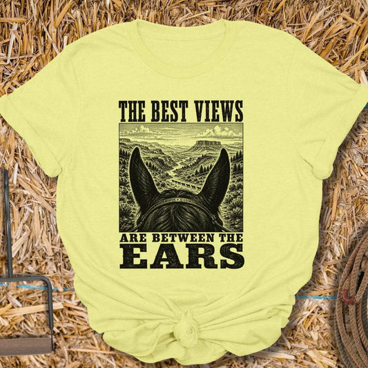 Printify T-Shirt Cornsilk / S Between The Ears Tee