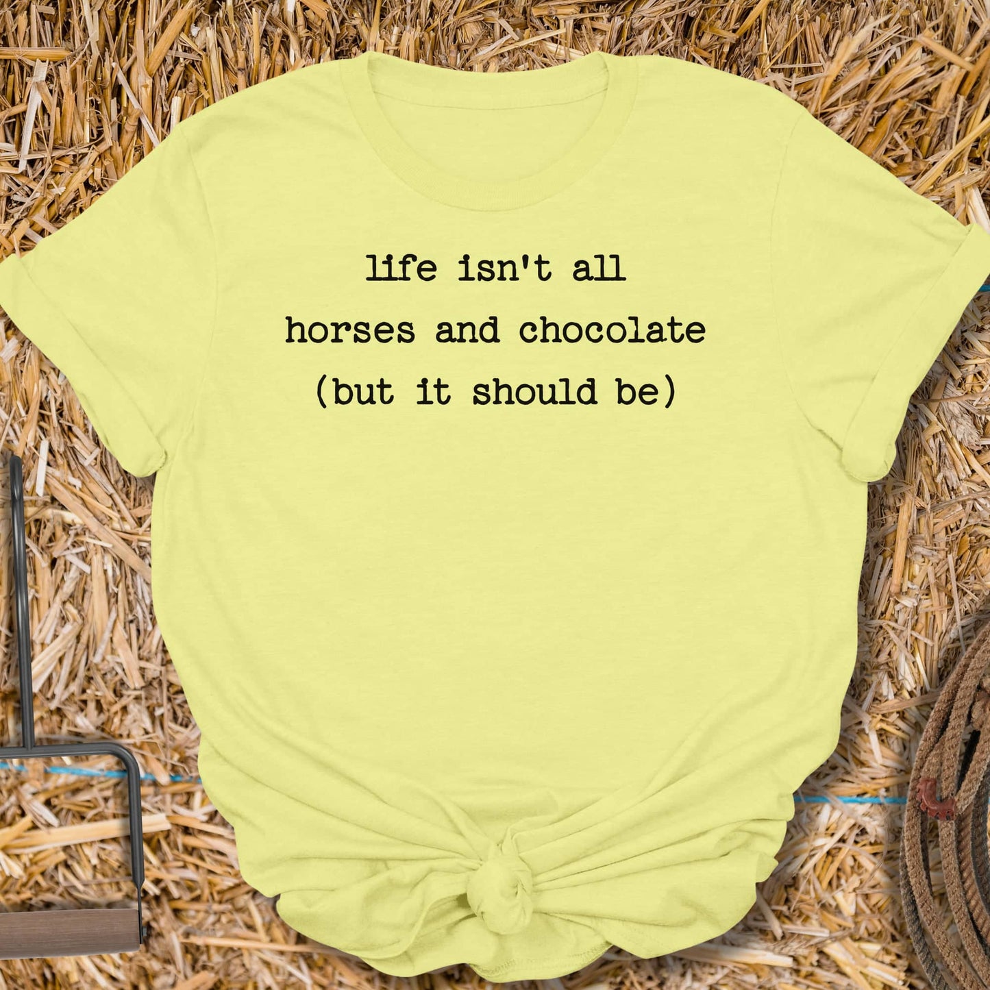 Printify T-Shirt Cornsilk / S Horses And Chocolate Tee