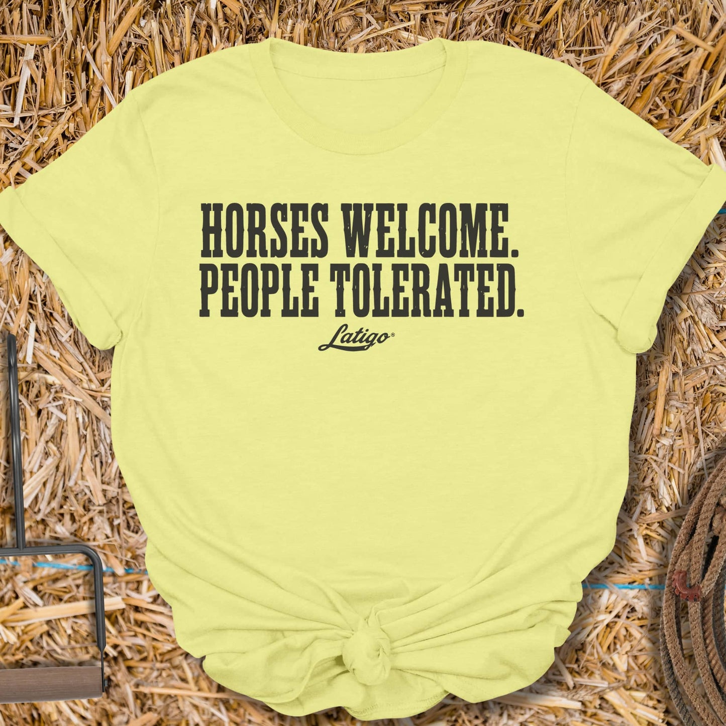 Printify T-Shirt Cornsilk / S Horses Welcomed Tee