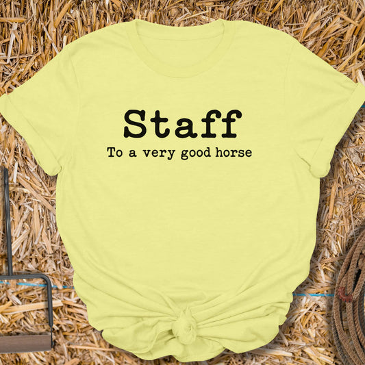 Printify T-Shirt Cornsilk / S Staff Tee