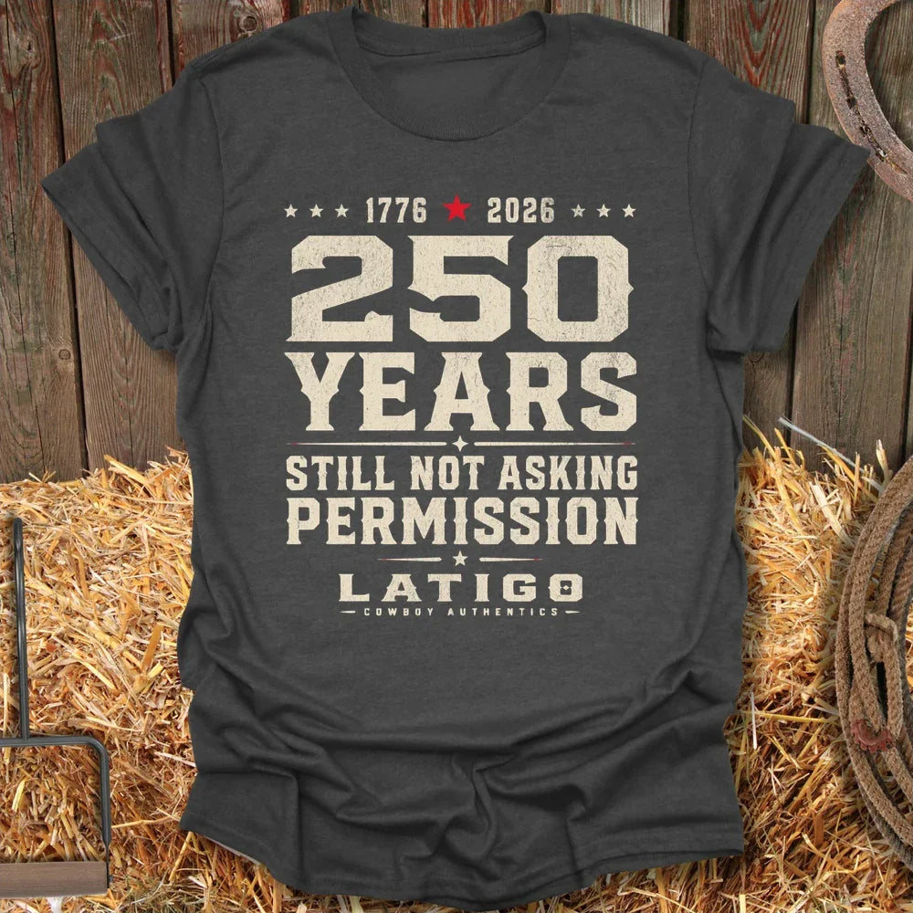 Printify T-Shirt Dark Heather / S Permission Dark Tee