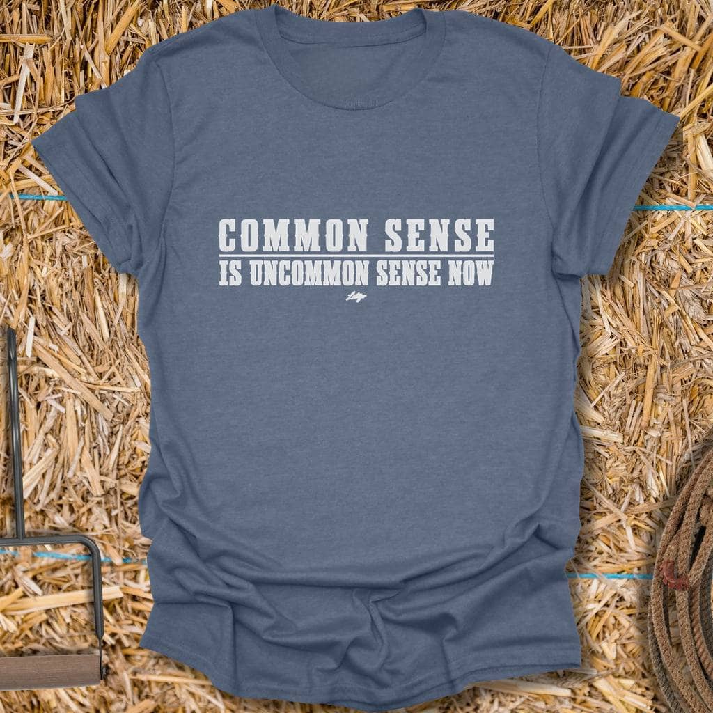 Printify T-Shirt Heather Indigo / S Common Sense Tee