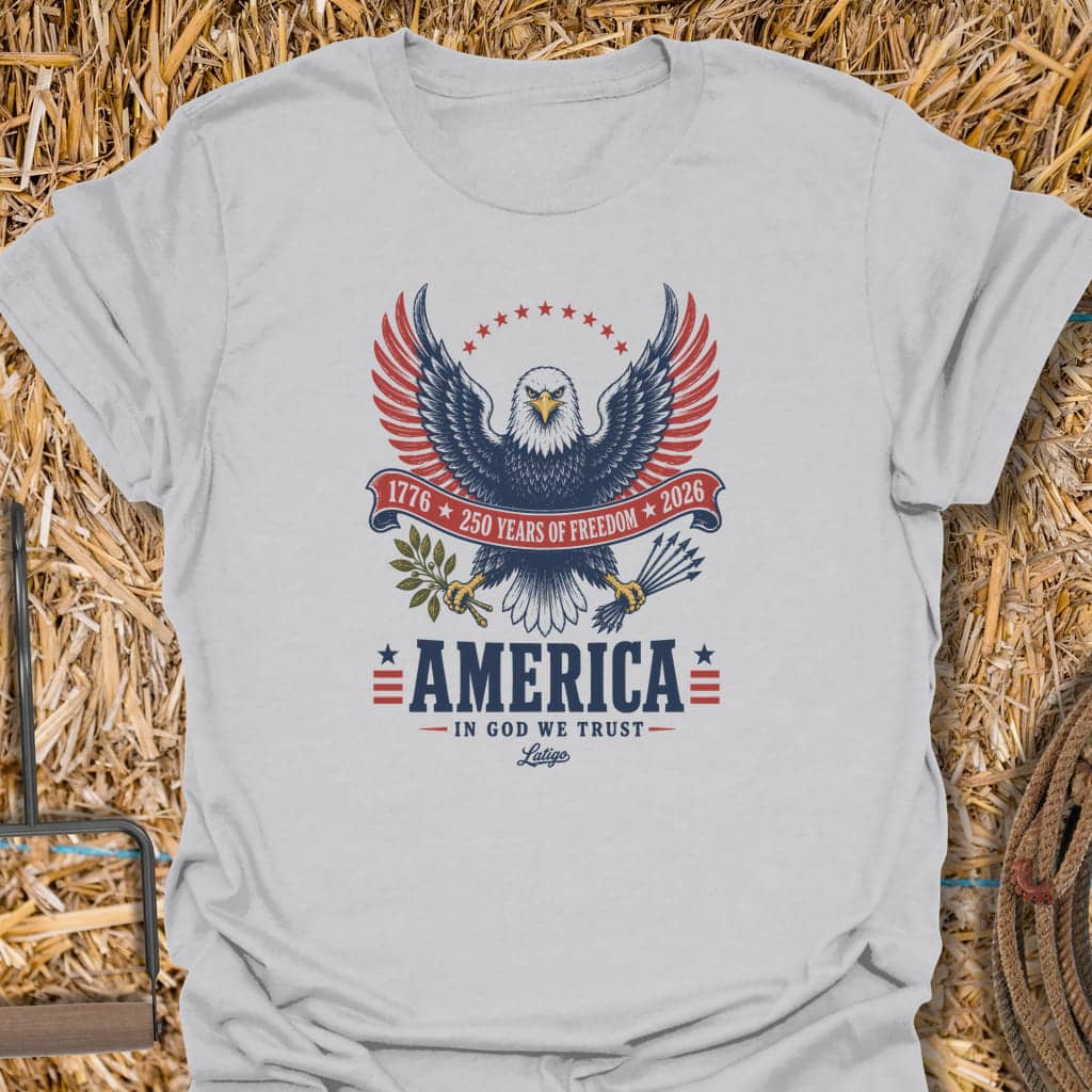 Printify T-Shirt Ice Grey / S American 250 Tee