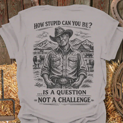 Printify T-Shirt Ice Grey / S How Stupid Tee