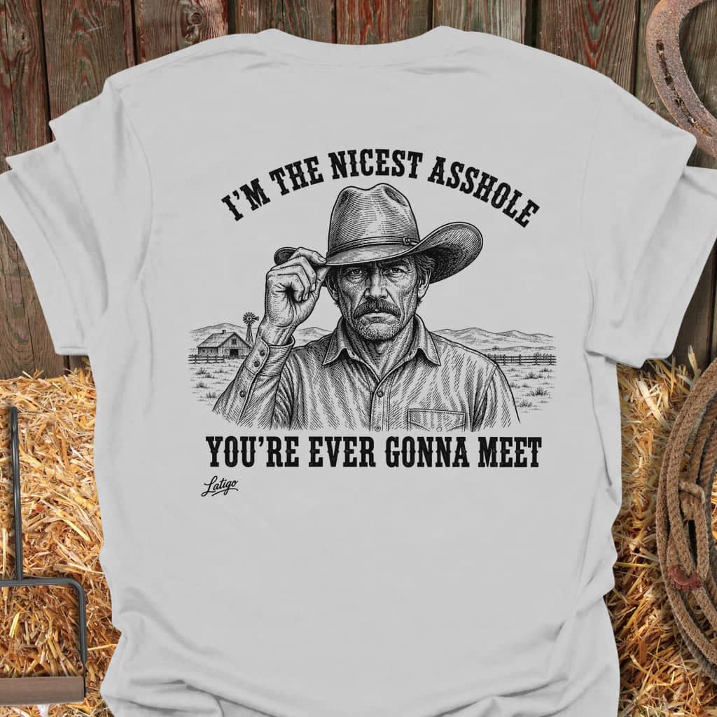 Printify T-Shirt Ice Grey / S Nicest Asshole Tee