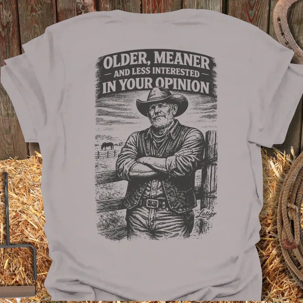 Printify T-Shirt Ice Grey / S Older Meaner Less Interested Tee