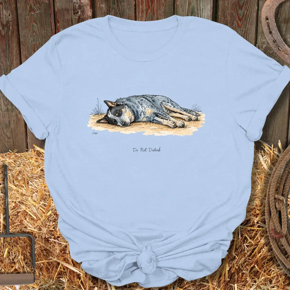 Printify T-Shirt Light Blue / S Do Not Disturb Tee