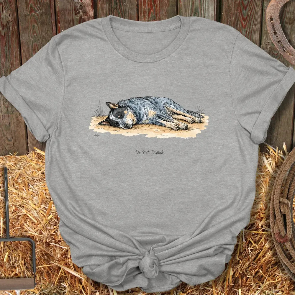 Printify T-Shirt Sport Grey / S Do Not Disturb Tee