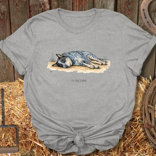 Printify T-Shirt Sport Grey / S Do Not Disturb Tee