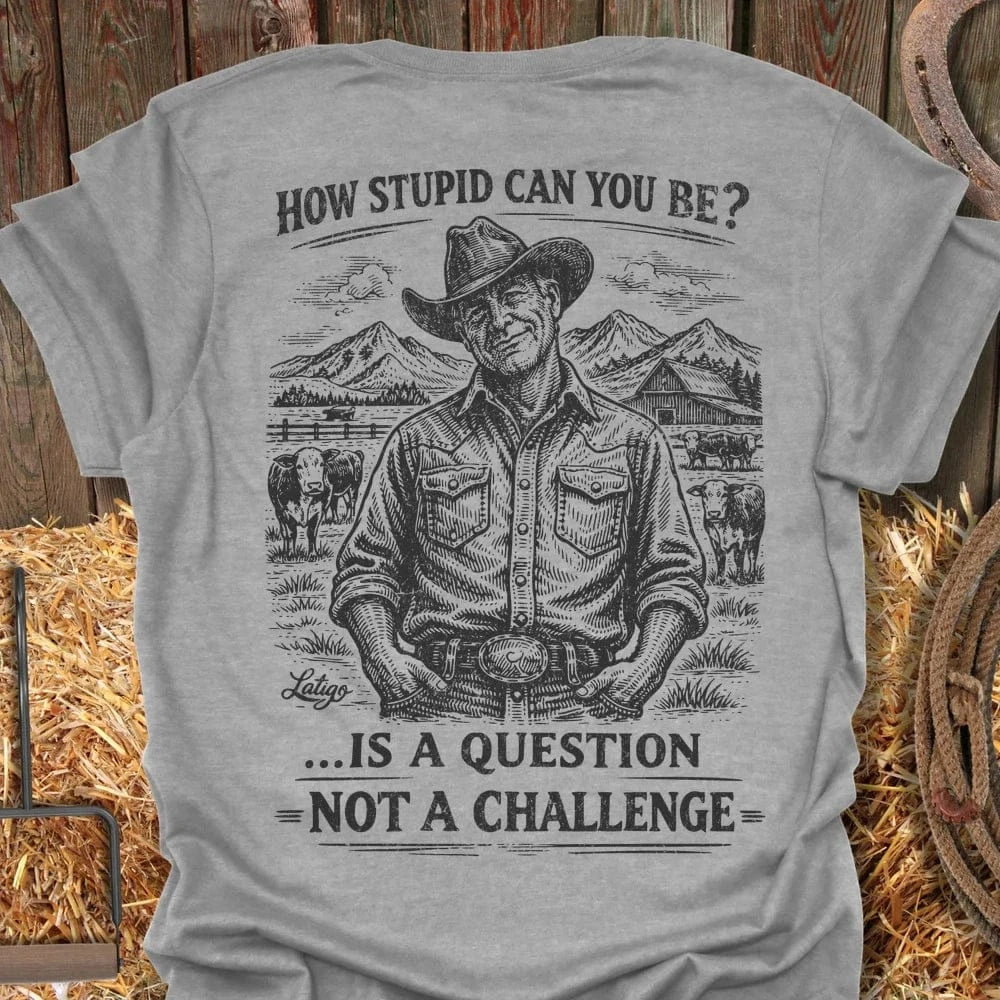 Printify T-Shirt Sport Grey / S How Stupid Tee