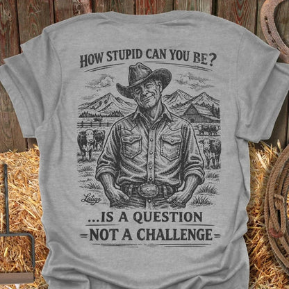 Printify T-Shirt Sport Grey / S How Stupid Tee