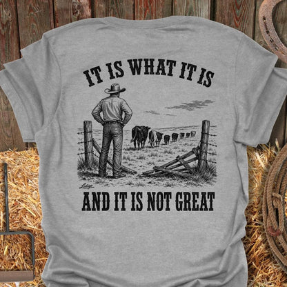 Printify T-Shirt Sport Grey / S Not Great Tee