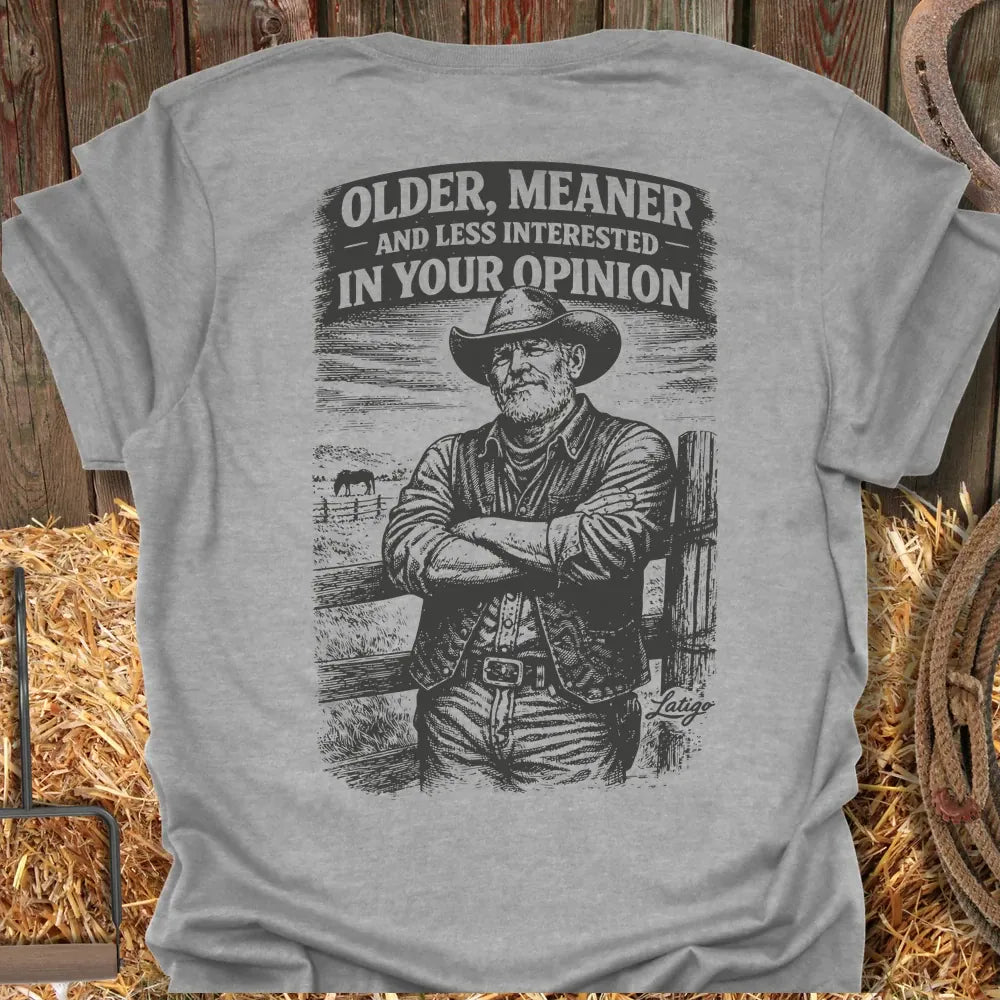 Printify T-Shirt Sport Grey / S Older Meaner Less Interested Tee