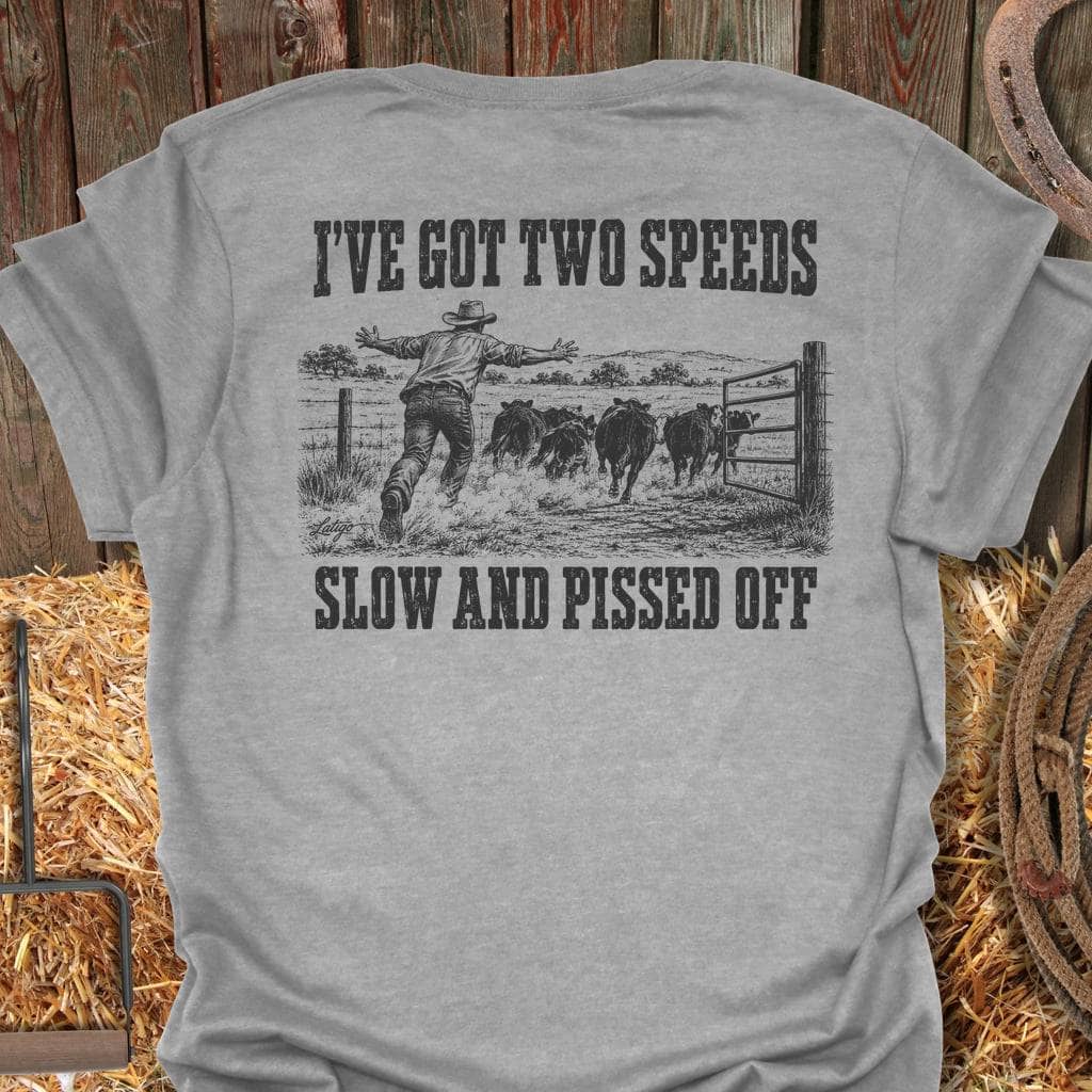 Printify T-Shirt Sport Grey / S Two Speeds Tee